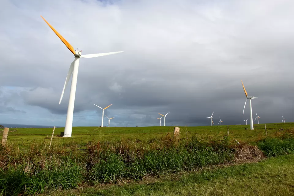 Wind Farm at Upolu